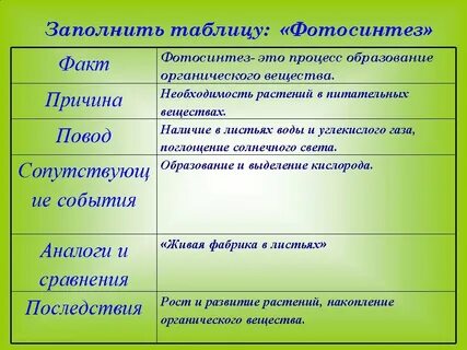 Заполните таблицу условия необходимые для фотосинтеза