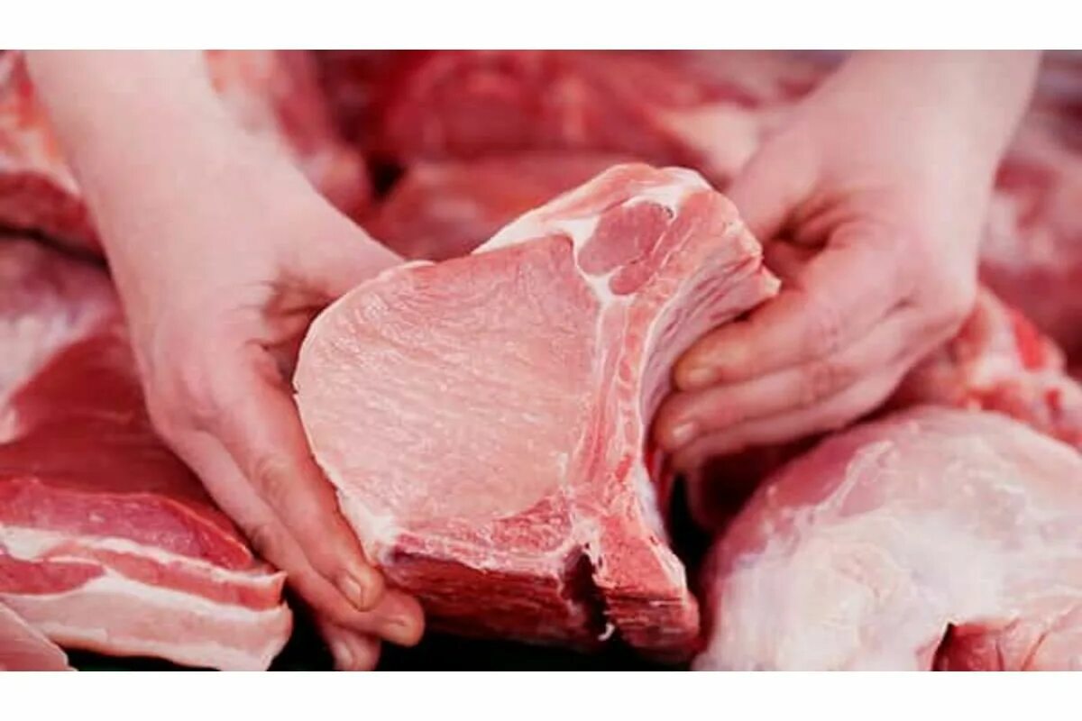 Мясо свинину можно есть. Мясо бледно розового цвета. Цвет свинины.