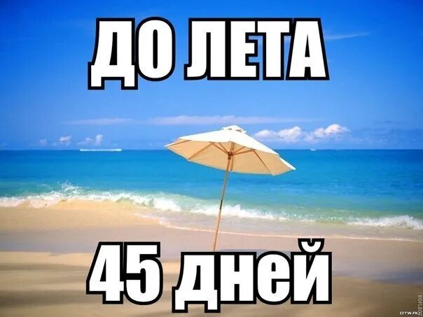 80 дней до лета