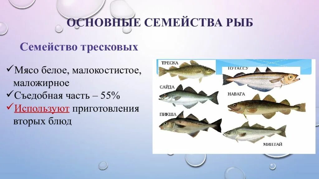 Какая рыба стала