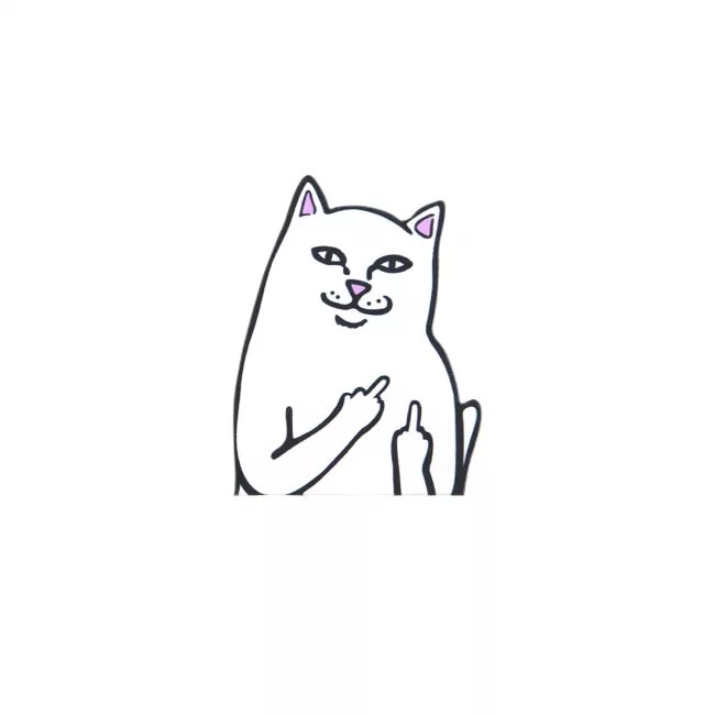 Кот с факом мем. Кот палец вверх. Кот показывает фак. Кот со средним пальцем. Кот с факом.