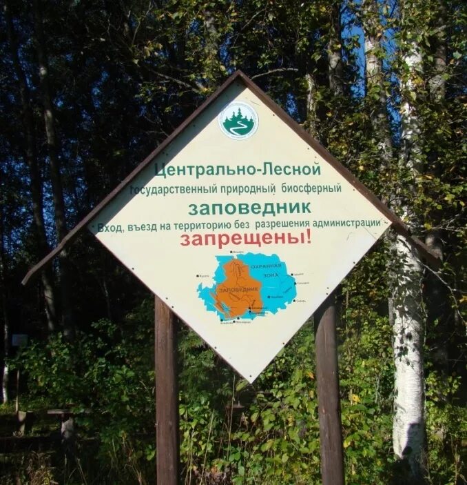 Центральный лесной заповедник нелидово. Центрально лесной заповедник нелидово. Центрально-лесной государственный заповедник в тверской области. Центральный лесной биосферный заповедник тверская область. Центрально лесной заповедник нелидово.