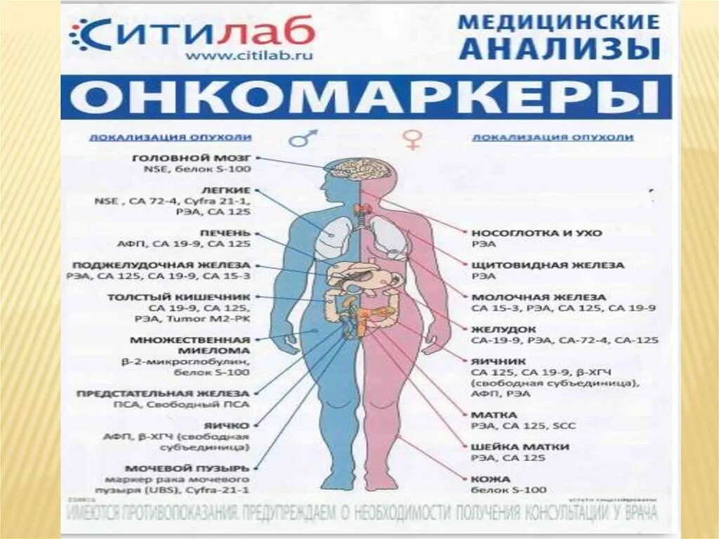 Онкомаркеры почек. Онкомаркеры в онкологии. Онкомаркер на почки название анализ. Онкомаркеры схема на человеке. Специфические онкомаркеры