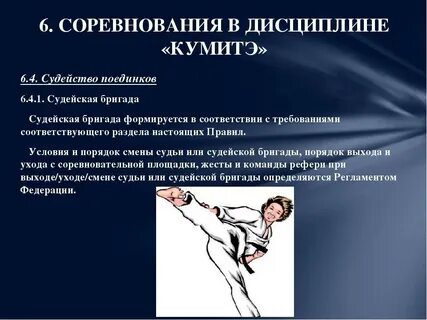 Каратэ правила боя