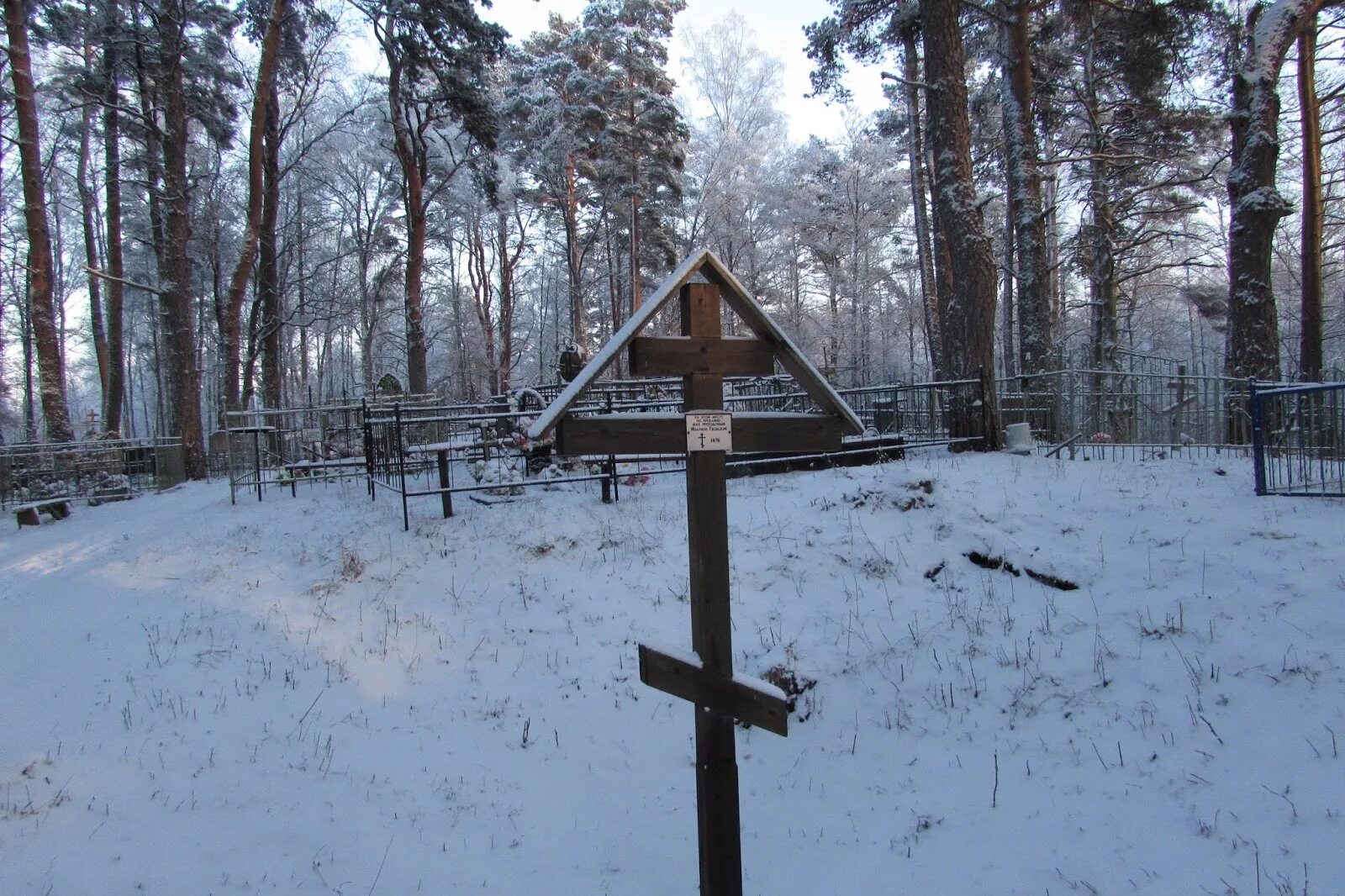 Деревня Ямм Гдовский район. Ямм Псковская область Церковь. Деревня Драготина Гдовский район. Залосенье Гдовский район. Погода ямм гдовского района