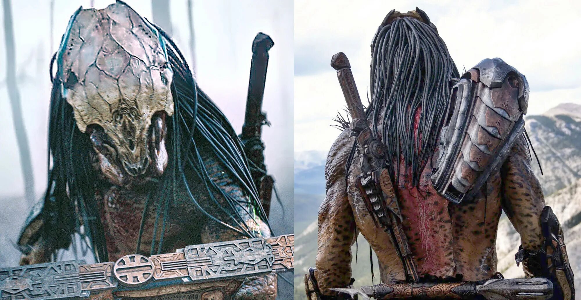 хищники без реклам