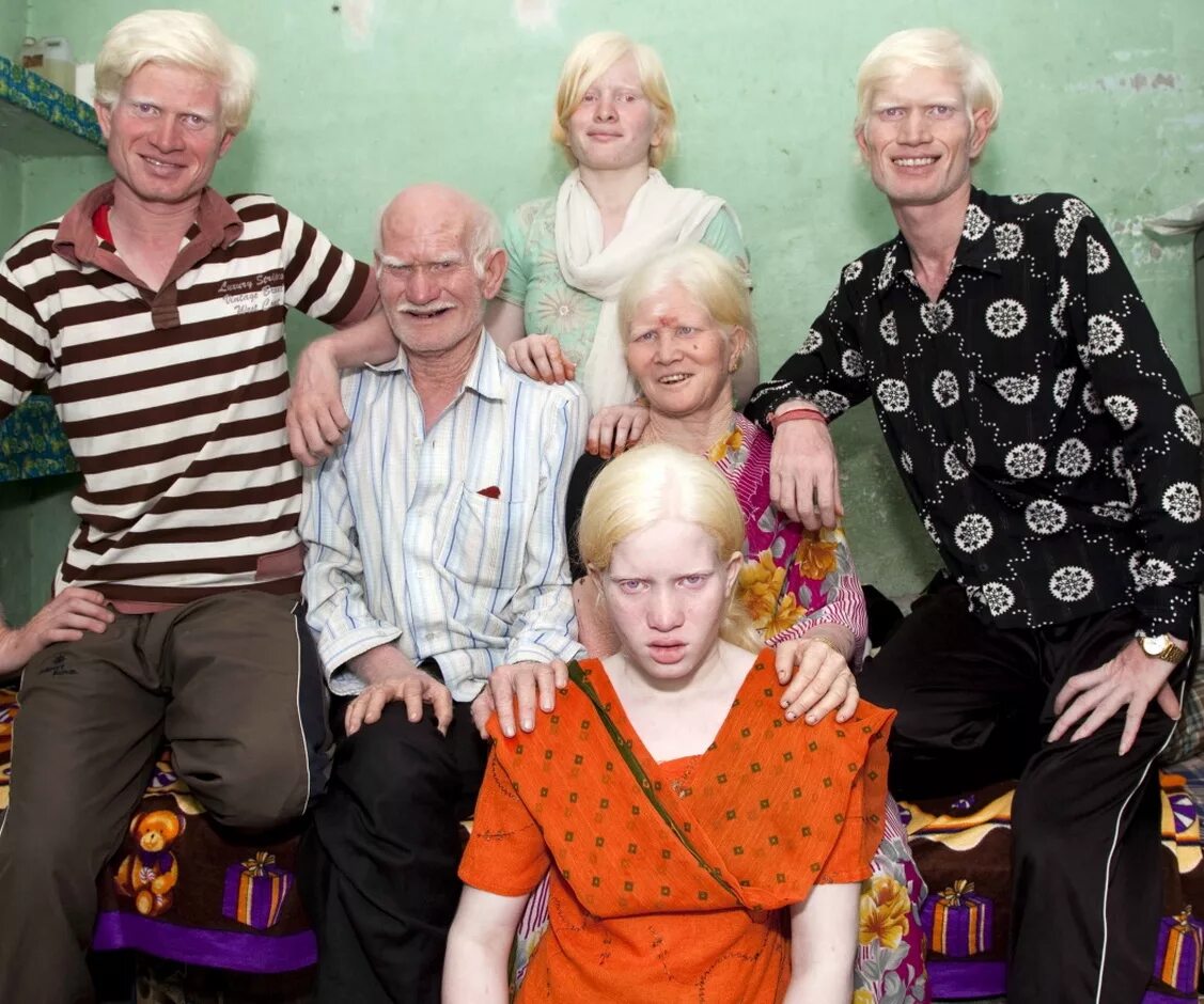 Самое большое поколение. Семья альбиносов в Индии. Семья Пуллан. Большая семья альбиносов из Индии. Самая большая семья альбиносов в мире.