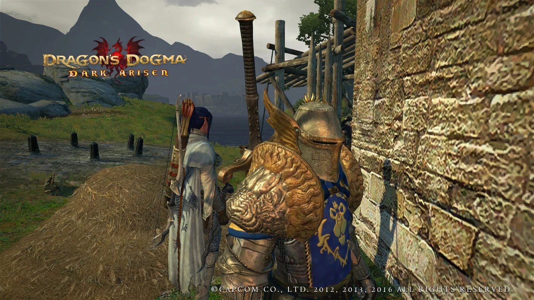 Dragon s dogma armor. Dragon's Dogma Dark Armor. Dragon's Dogma Dark Arisen Armor. Dragon's Dogma Dark Arisen броня. Драгон Догма дарк аризен броня.