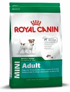 Royal canin small dog