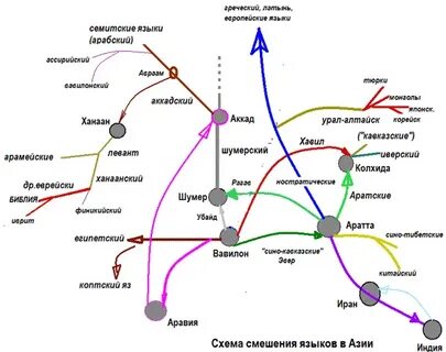 Семитские языки