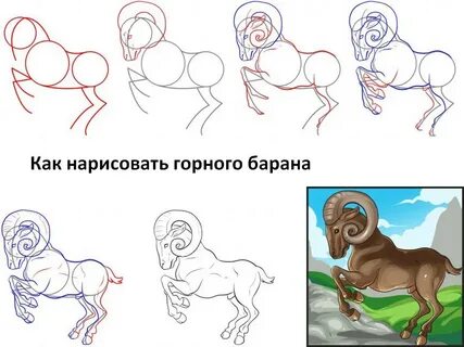 Как нарисовать байху