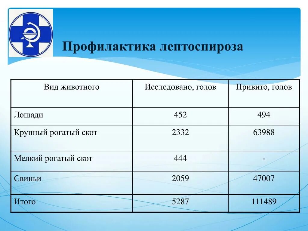 Лептоспироз инструкция. Профилактика лептоспироза. Профилактика лептоспир. Профилактика при лептоспирозе.