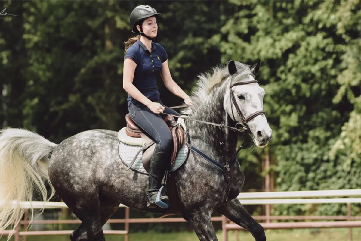 Измайлово конный. Измайлово конный. Конно спортивный центр измайлово. Конно-спортивный клуб измайлово, москва. Кск измайлово лошади.