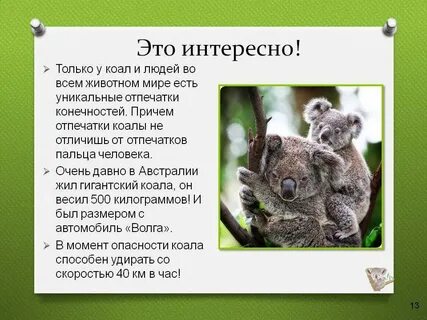 Сообщение про животное 5 класс биология