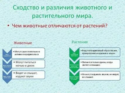 Назовите отличия животного организма от растительного