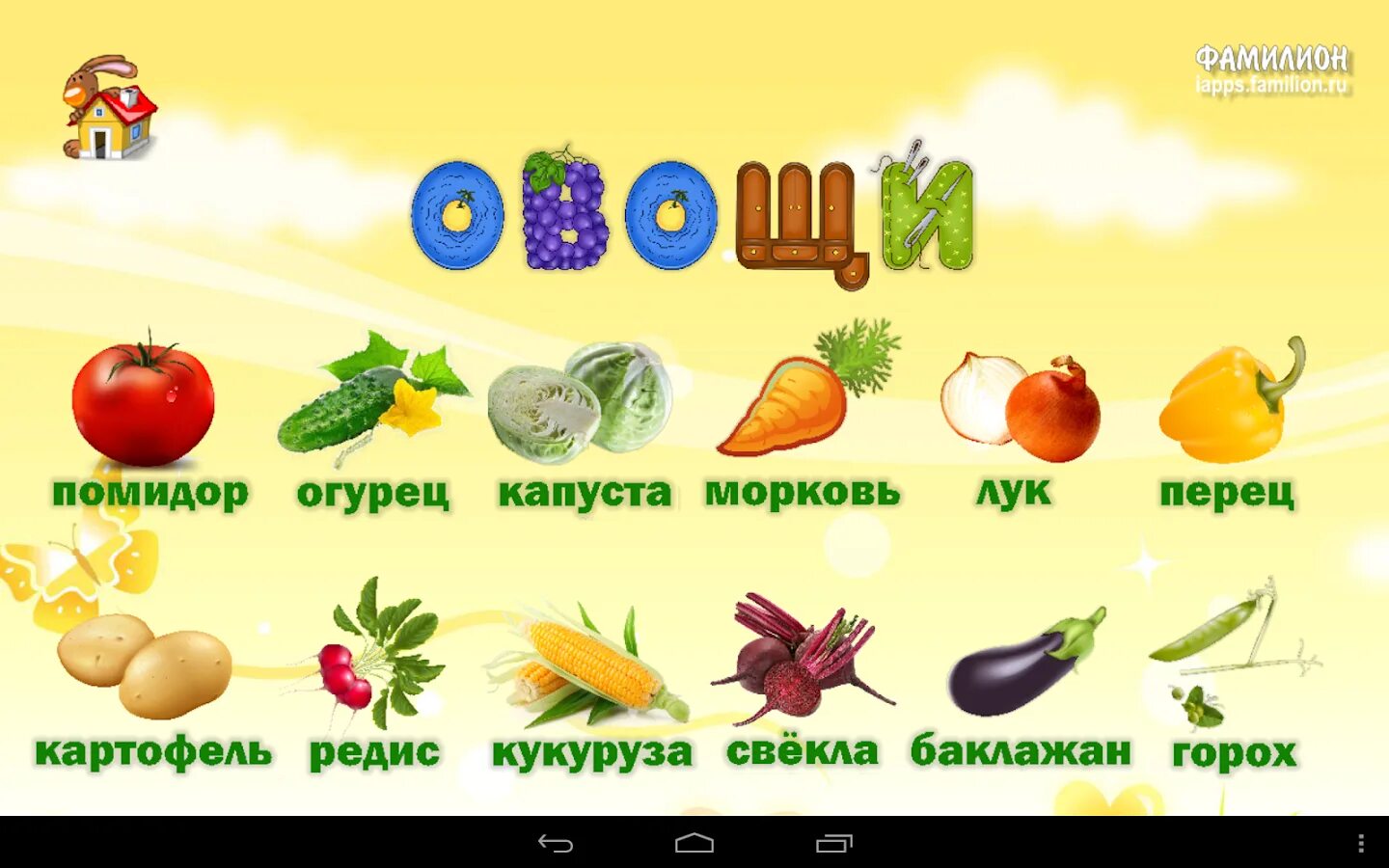 Фрукты большие слова. Фрукты для дошкольников. Вывеска фрукты. Название фруктов. Фрукты и ягоды с названиями.