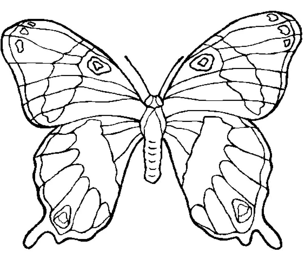Раскраски контуры распечатать. Раскраска "бабочки". Бабочка раскраска для детей. Детские раскраски бабочки. Бабочка раскраска для малышей.