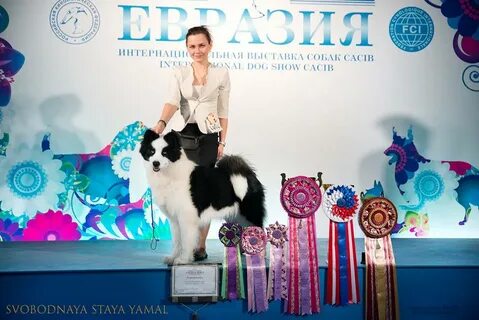 Евразия выставка