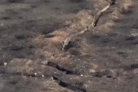 Бои в окопах видео с дрона