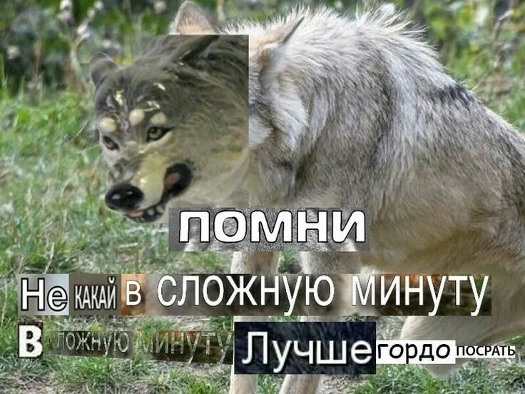 Все сложно. Со мной сложно цитаты. Да не будет сложно. Если со мной сложно. Сложно мем.