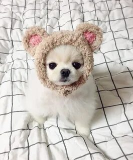 Мило премило