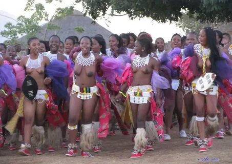 Naked Zulu Women Reed Dance.