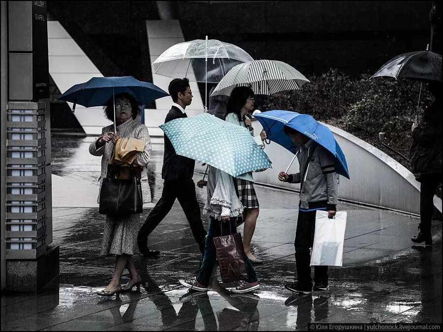 Мс дождь. Человек под зонтом. Прохожие с зонтами. Толпа под зонтами. Много людей с зонтами.