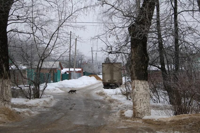михнево (городской округ ступино). достопримечательности михнево ступинский район. парк в михнево ступинского района. поселок михнево. погода в михнево.