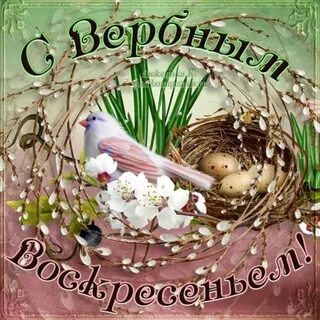 Живые картинки воскресенье