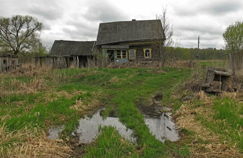 Деревня оказалась. Деревня Гусево Ярославская область. Заброшенная деревня Гусево. Заброшенные деревни Ярославской области. Заброшенные деревни Смоленской области.