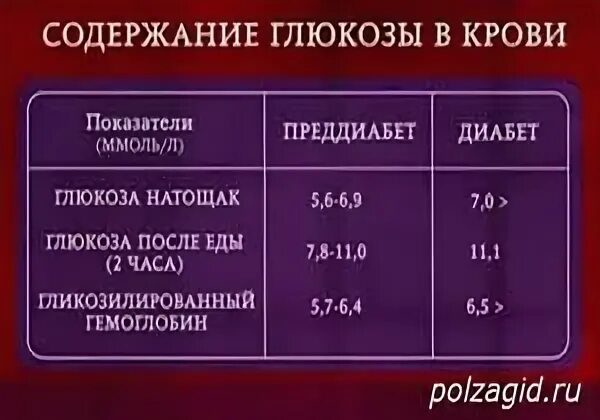 Сахар 7