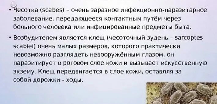 Как избавиться от чесотки после. Паразитарные заболевания кожи чесотка. народные средства от чесоточного клеща. методы обработки чесотки. чесотка народные средства.
