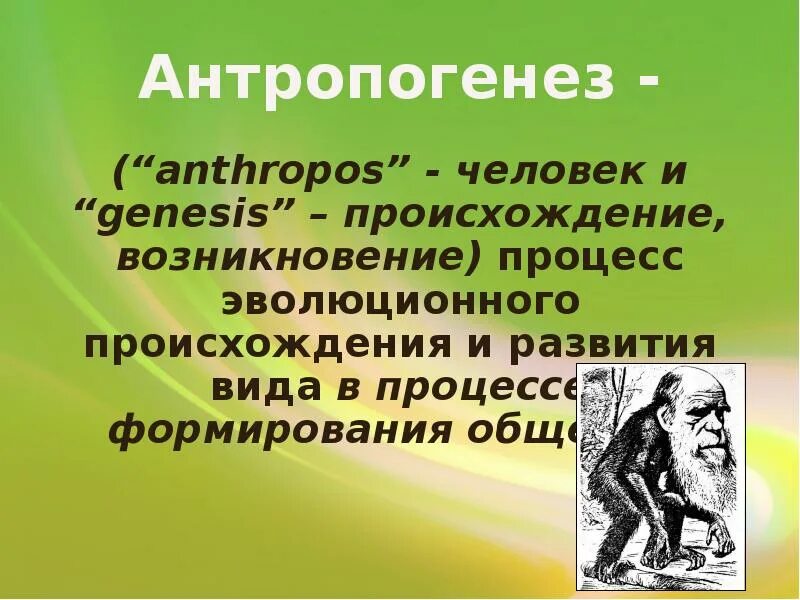 Антропогенез человека 9 класс. Антропогенез процесс развития человека. Происхождение человека Антропогенез. Антропогенез человека презентация. Происхождение человечества Антропогенез.