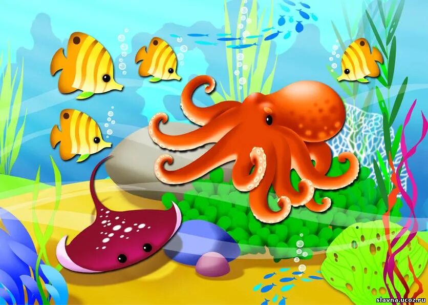 морские обитате дл ядетец. подводный мир для дошкольников. водный мир для детей. рыбки для детского сада. водный мир для детей.