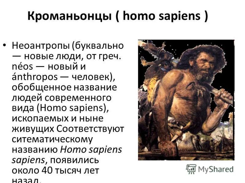 строение и образ жизни кроманьонца. кроманьонец прямохождение. люди современного типа кроманьонцы. неоантропов (новый человек – человек разумный). доклад кроманьонец 5 класс биология.