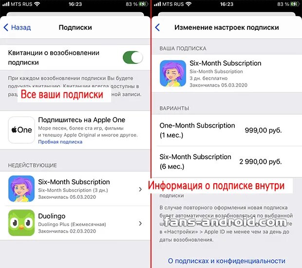 Подписаться на платные подписки. Узнать про подписки. Отвязать карту от подписок. Кнопка получить сертификат. Мобильные подписки.