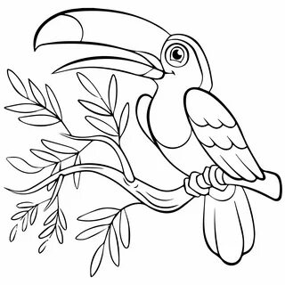 Раскраска птичка для детей: скачать и распечатать