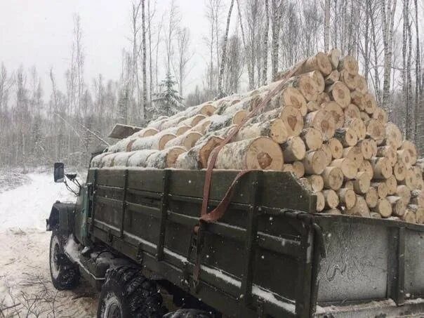 Дрова листвяк ЗИЛ 131. ЗИЛ 131 С дровами. ЗИЛ 131 самосвал с дровами. ЗИЛ 131 груженый дровами.