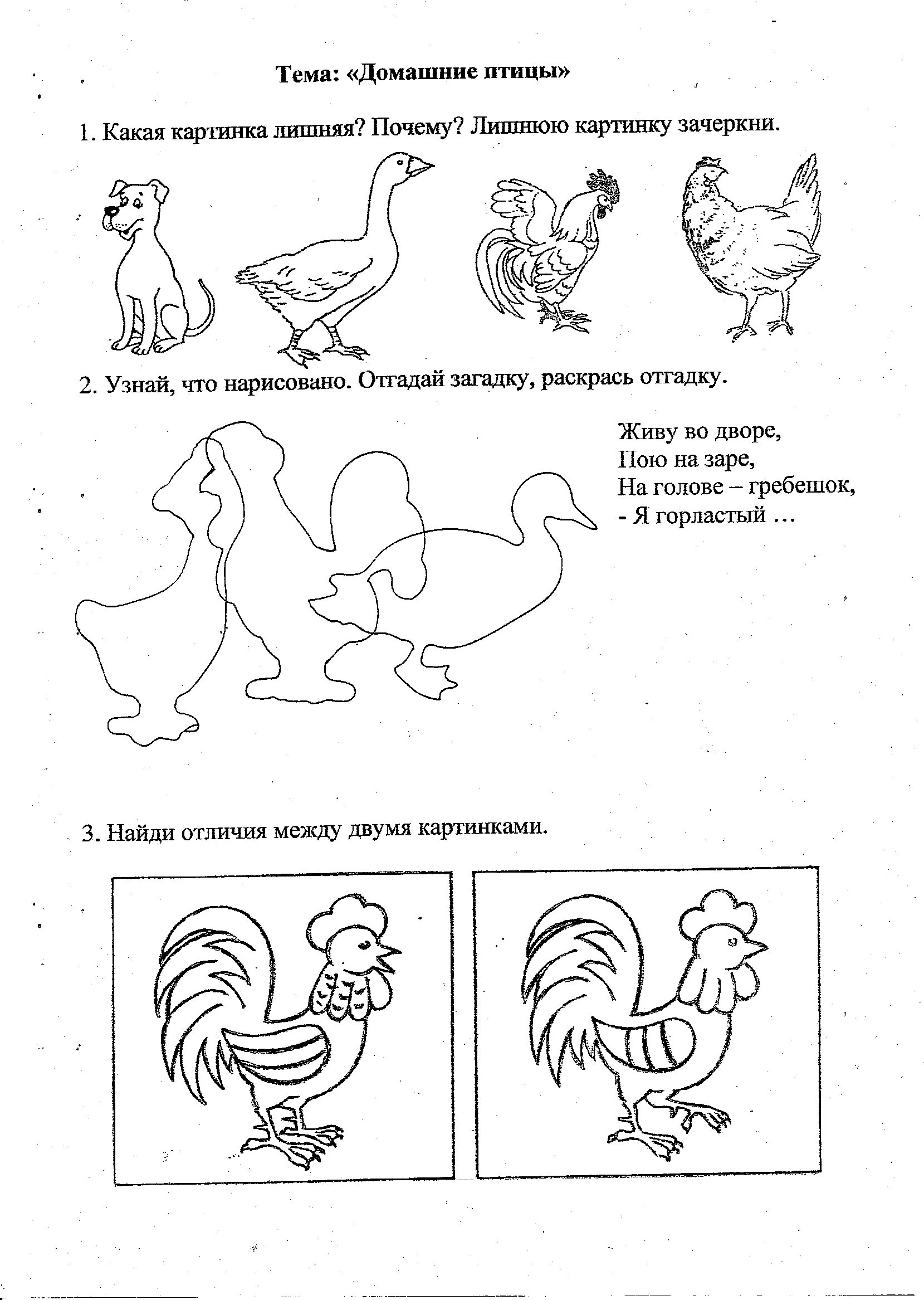 Логопедическое задание домашние птицы. Домашние птицы задания логопеда для дошкольников. Домашние птицы и птенцы задания для дошкольников. Домашние птицы задания для детей 6-7 лет. Задание логопеды домашние птицы