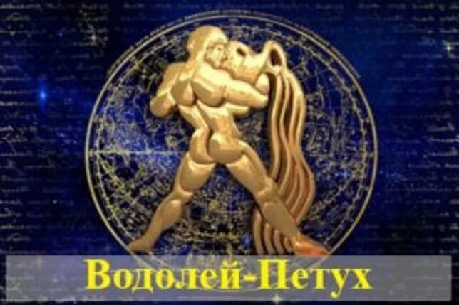 Рыбы знак зодиака характеристика. Таблица кваши аристократ. Год петуха характеристика мужчина. Водолей петух женщина. Водолей петух гороскоп.