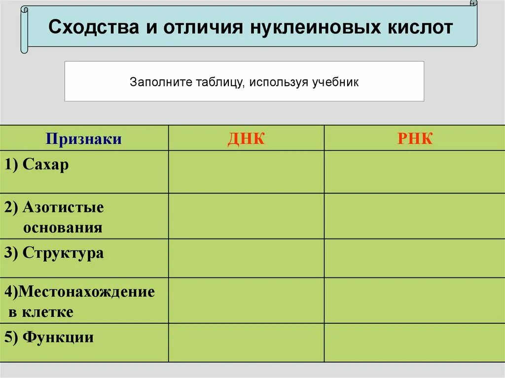 Сходство и различие нуклеиновых кислот. Сходства и отличия нуклеиновых кислот. Сходства и различия нуклеиновых кислот таблица. Нуклеиновые кислоты таблица.