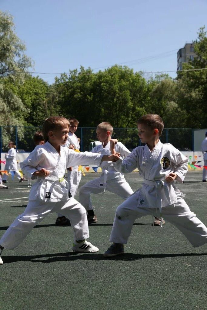 Спортивный клуб южный. Каратэ клуб южный. южный каратэ печатники. спортивный клуб южный печатники. экзамен каратэ.