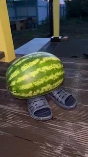 Гамяк