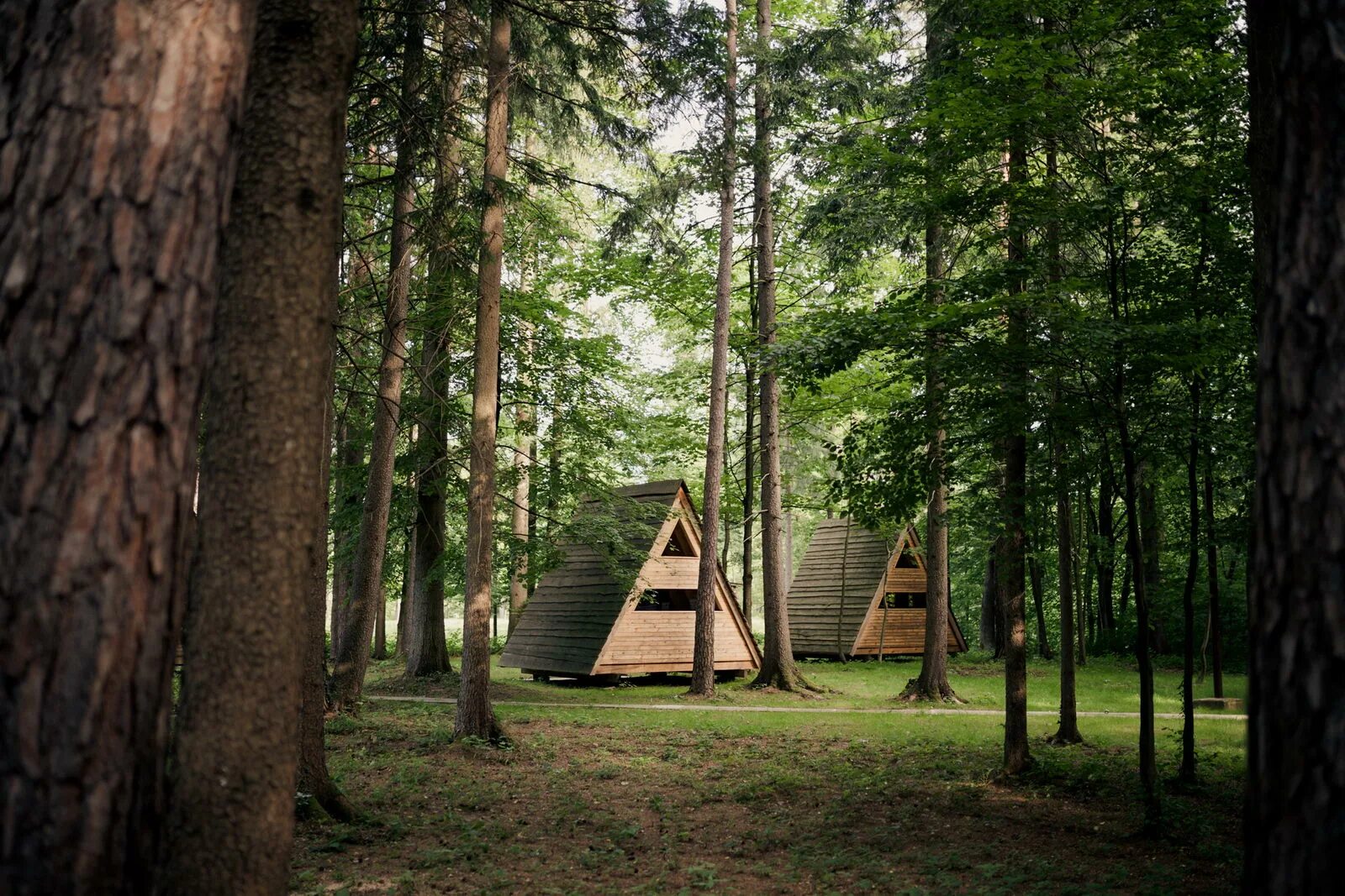 Форест Кэмп лагерь. Лагерь Форест парк. Forest Camp лагерь Липецк. Кемпинг в the Forest. Кемпинг лесная