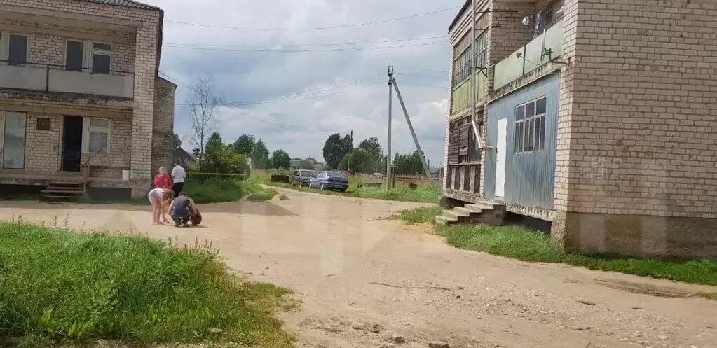 Квартира пестово новгородская область. Ярцево Устюженский район. Деревня Ярцево Вологодская область. Пестово Вологодская область Устюженский. Вологодская область Устюженский район деревня Ярцево дом 4.