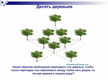 Задача в парке высаживали деревья