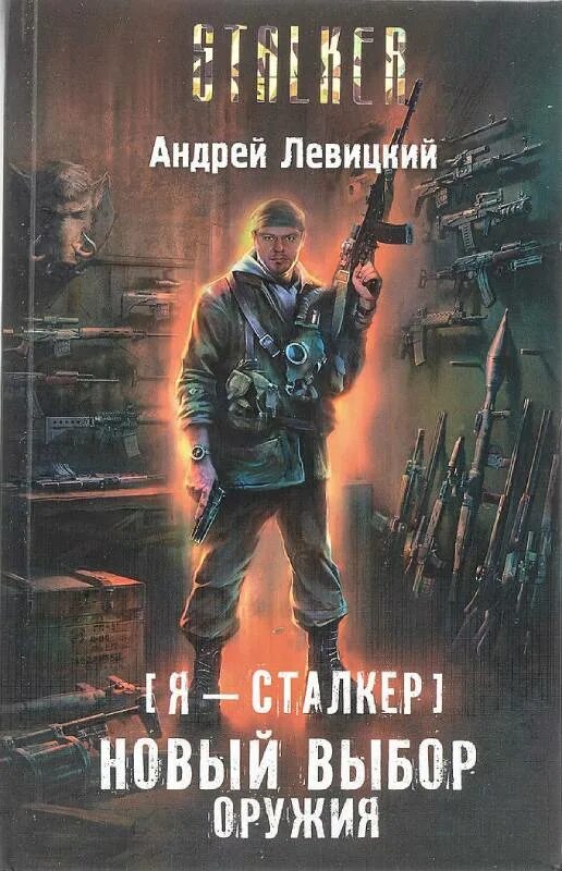 Сталкер книги химик пригоршня