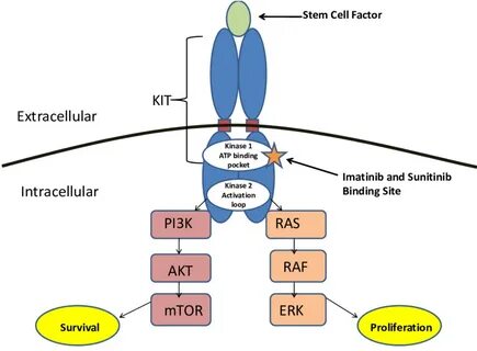 Kit signaling
