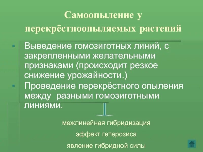 Перекрестноопыляемые растения. Перекрестноопыляемые растения примеры. Селекция перекрестноопыляемых растений. Метод селекции перекрестноопыляемых растений.