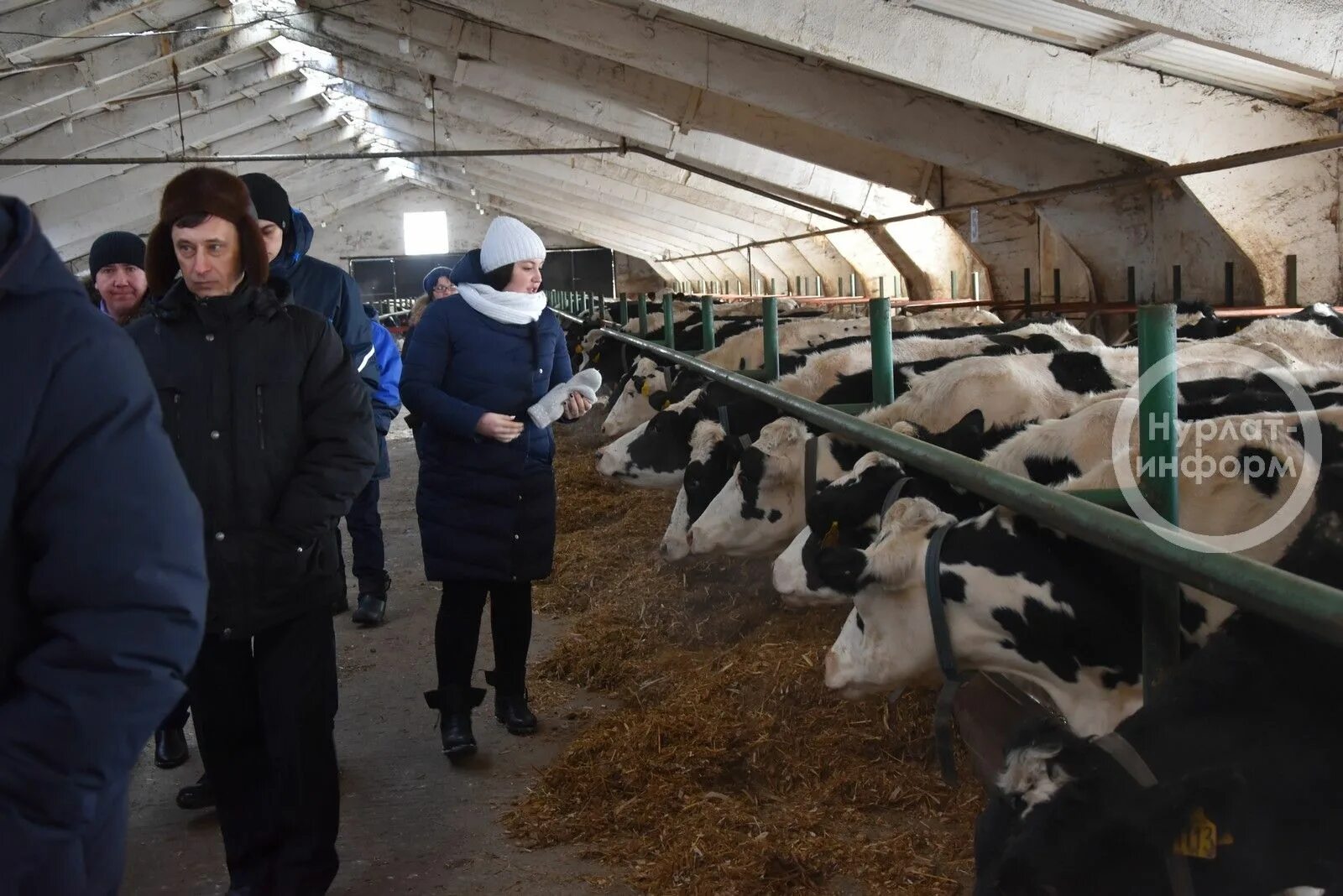 качества животновода. магазин животновод. хозяйство тамбовской области. ооо заря наровчатский район пензенская область. животновод киров.